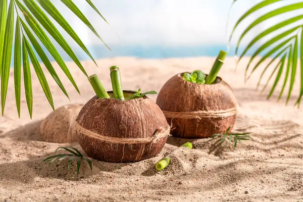 Herkullinen Pinacolada Kookospähkinässä Lomakeskuksessa Saarella Lomat Paratiisin Rannalla — kuvapankkivalokuva
