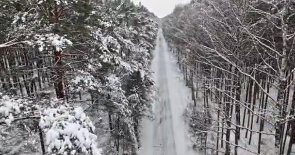 Fryst Asfalterad Väg Snöig Vinter Transport Vintern Flygfoto Över Naturen — Stockvideo