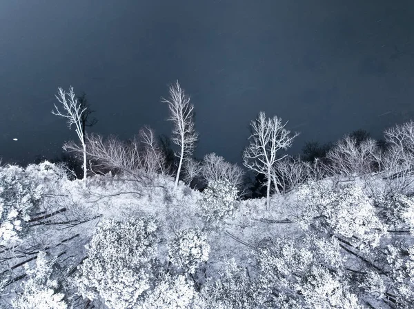 Lot Nad Zimną Rzeką Białym Lasem Polsce Drzewa Pokryte Śniegiem — Zdjęcie stockowe