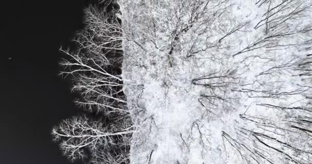 Luchtfoto Van Bevroren Rivier Besneeuwd Bos Winter Luchtfoto Van Natuur — Stockvideo