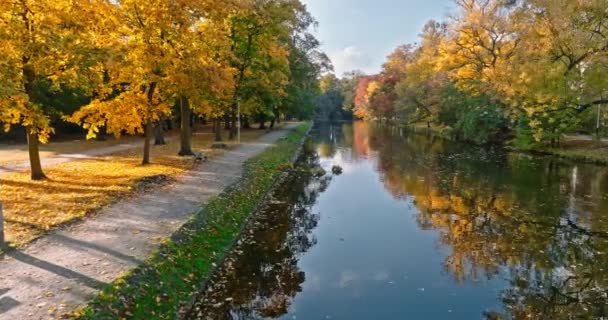 Luftaufnahme Von Fluss Und Buntem Wald Herbst Bydgoszcz Goldener Herbst — Stockvideo
