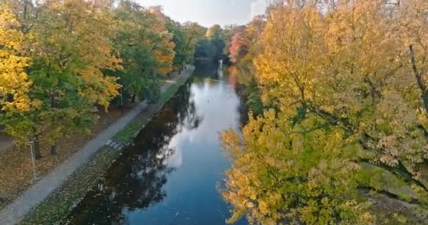 Luchtfoto Naar Rivier Brda Herfst Bydgoszcz Poolse Gouden Herfst Natuur — Stockvideo