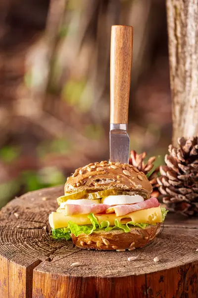 숲에서 식사를위한 홈메이드 샌드위치 야채와 샌드위치 스톡 사진