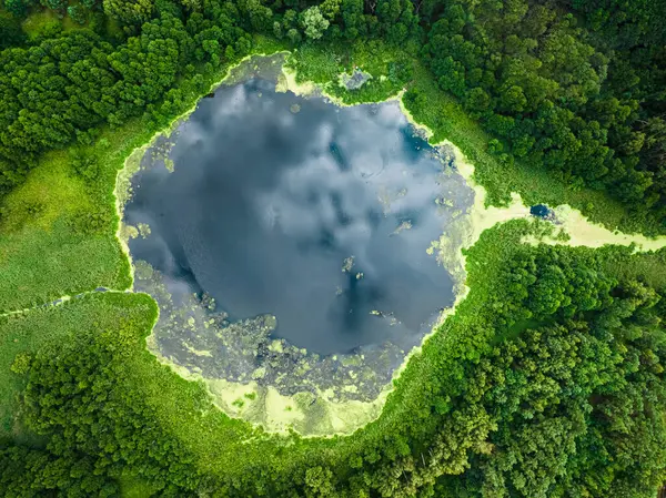 Вид Сверху Озеро Зеленые Болота Летом Польша Лицензионные Стоковые Изображения