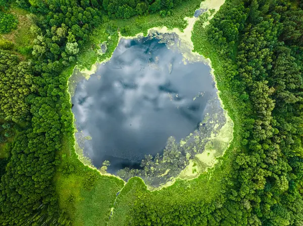 Top View Green Swamps Lake Summer Poland Europe Immagine Stock