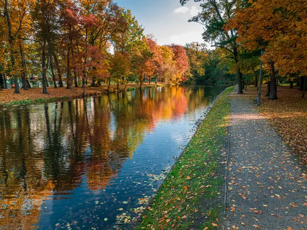Вид Повітря Річку Різнокольоровим Осіннім Лісом Бидгощі Польська Золота Осінь Стокове Зображення