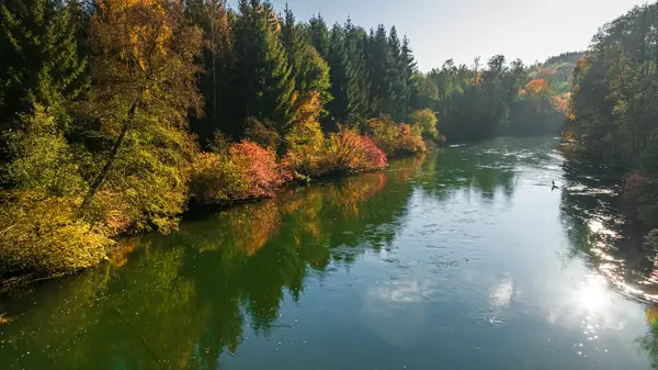 Осенний Красочный Лес Реки Брды Восходе Солнца Польше Европе Вид Стоковое Фото