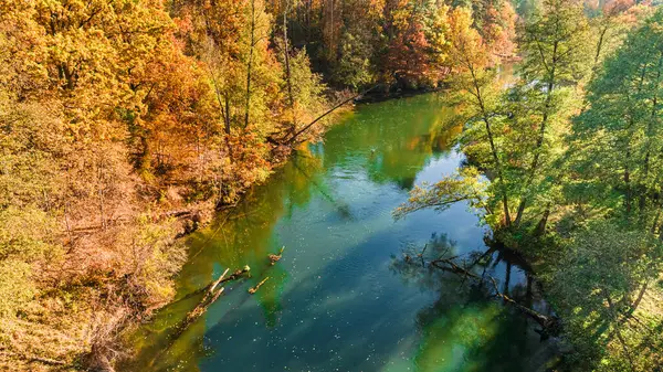 Río Brda Bosque Otoño Amanecer Polonia Vista Aérea Naturaleza Imagen De Stock