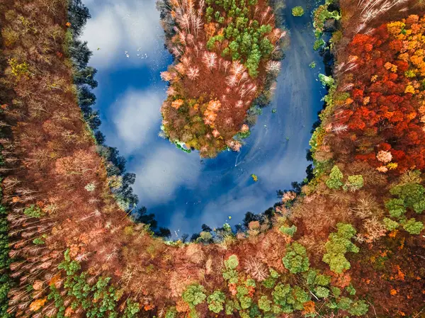 Коричневый Лес Река Поздней Осенью Польше Европе Вид Воздуха Природу Стоковое Фото