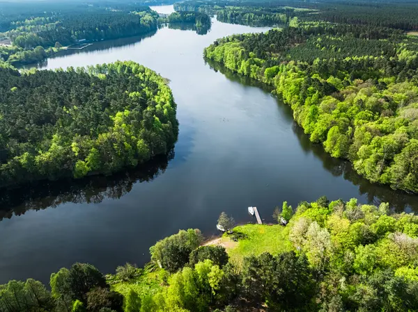 Вид Воздуха Дикую Природу Польше Европе Пышная Река Леса Весной Стоковое Изображение