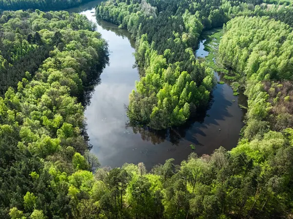 Río Sinuoso Bosques Herbáceos Primavera Naturaleza Polonia Europa Imágenes De Stock Sin Royalties Gratis