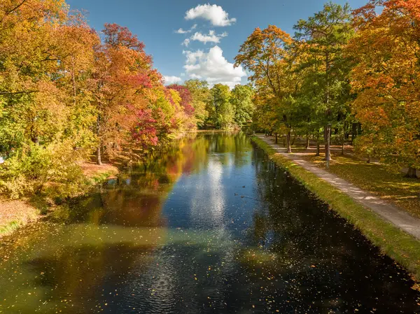 stock image Aerial view to autumn trees by river Brda in Bydgoszcz. Polish golden autumn in nature.