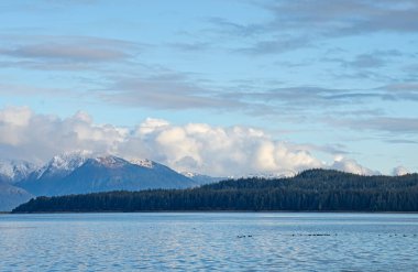 Ocean with a view of an island and mountains with a floating flock of loons in Southeast Alaska in fall. clipart