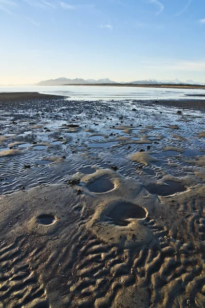 Большие Отверстия Песке Время Отлива Пляже Около Густава Аляски Время — стоковое фото