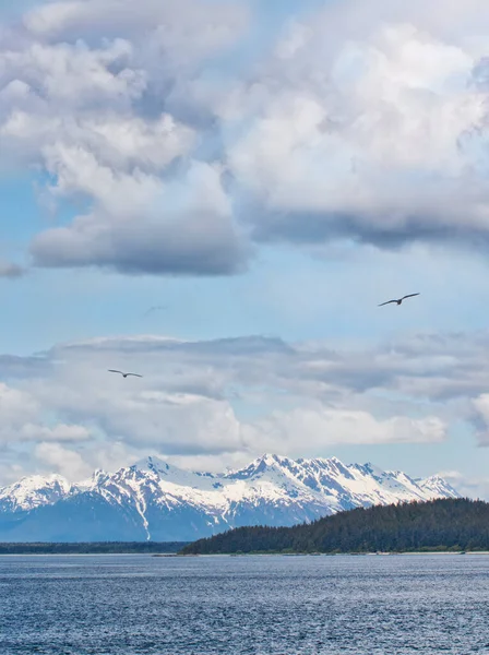 Wolken Besneeuwde Bergen Met Meeuwen Het Lynn Kanaal Zuidoost Alaska — Stockfoto