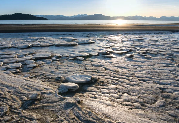 Ijsbrokken Bevroren Een Strand Bij Zuidoost Alaska Rechtenvrije Stockfoto's