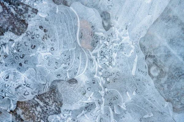 Padrões Gelo Delicados Uma Poça Congelada Inverno Imagens De Bancos De Imagens Sem Royalties