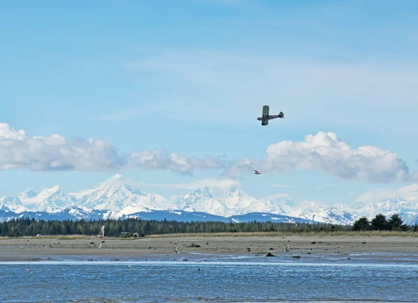 Pequeño Avión Volando Junto Río Salmón Cerca Gustavus Alaska Día —  Fotos de Stock
