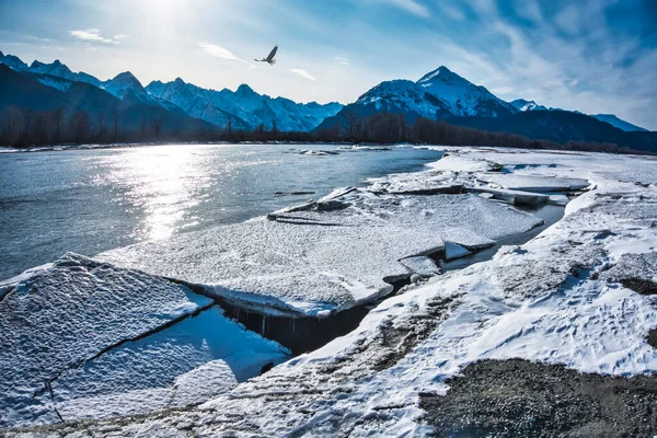 Ледяные Куски Замерзшей Реке Аляске Солнечный День Летающим Орлом — стоковое фото