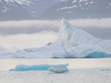 Alaska 'daki Alsek Gölü' nde büyük buz kütleleri ve arkasında sisli dağlarla dolu bir buzdağı..