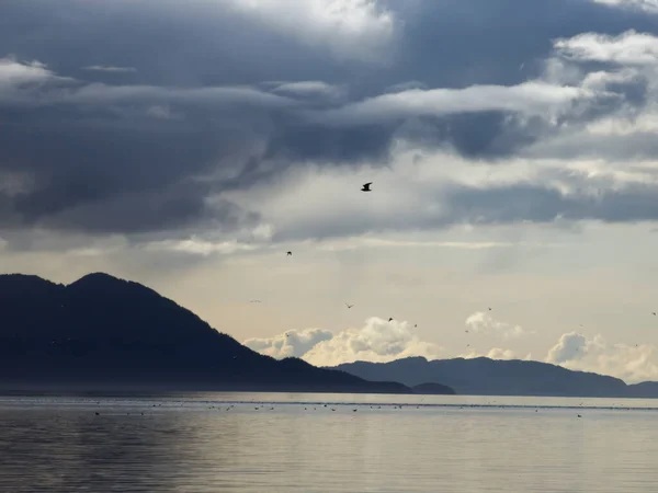 Viharfelhők Alakulnak Jég Felett Alaszkában Nyugodt Vízzel Madarakkal Jogdíjmentes Stock Képek