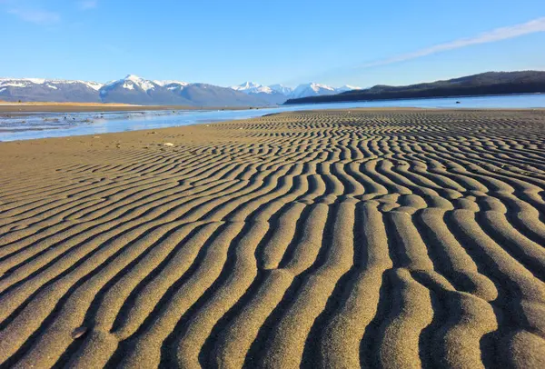 Візерунки Піску Низькому Припливі Сонячний День Південно Східній Алясці Ліцензійні Стокові Зображення
