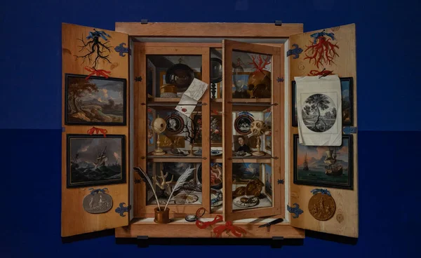 Obrázek Kabinetu Kuriozit Domenica Rempse 1690 Vystavený Rijksmuseu Rámci Výstavy — Stock fotografie
