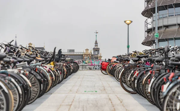 アムステルダム中央駅近くの大規模な自転車駐車場で2列の自転車の写真 — ストック写真
