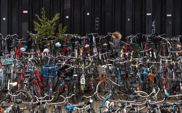 アムステルダム中央駅近くの巨大な自転車駐車場の写真 — ストック写真
