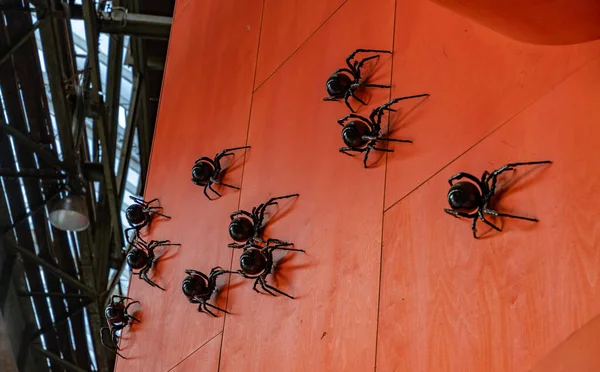 Uma Imagem Uma Instalação Arte Com Aranhas Pretas Exibição Centro — Fotografia de Stock