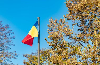 Romanya bayrağının sonbahar yapraklı bir resmi.