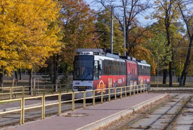 A picture of a Bucharest tram in the fall.