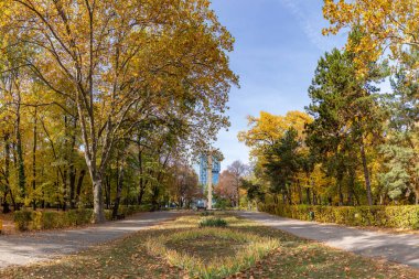 A picture of the Herastrau Park in the fall, with the Column Monument in the far center.