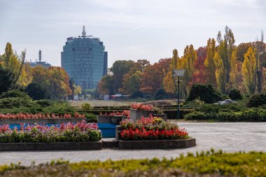 A picture of the Herastrau Park in the fall.