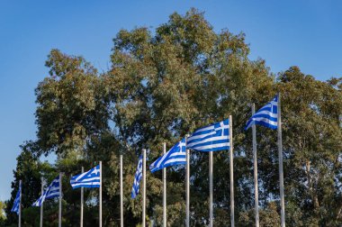 A picture of multiple Greek flags in front of a group of trees.