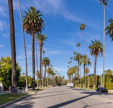A picture of the Beverly Hills neighborhood.