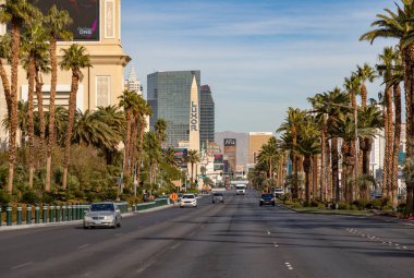 Las Vegas Bulvarı 'nın güney tarafında palmiye ağaçları olan bir resmi..