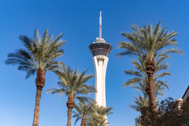 A picture of the STRAT SkyPod against a blue sky with palm trees. clipart