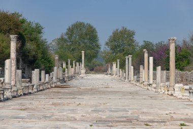 Ephesus Antik Kenti 'ndeki Liman Caddesi' nin bir resmi..