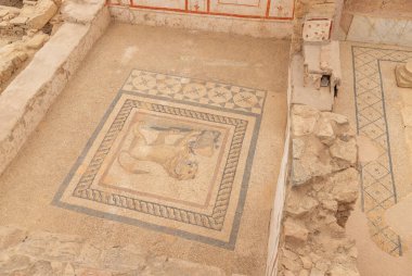 Efes 'teki Terrace Evleri' nin aslan zemininin bir resmi..