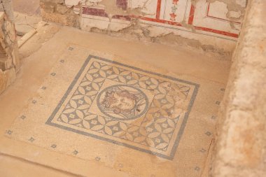 Efes 'teki Terrace Evleri' nin Medusa zemininin bir resmi..