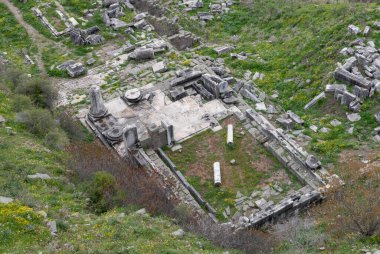 Pergamon Antik Şehri 'ndeki Dionysus Tapınağı' nın bir resmi..
