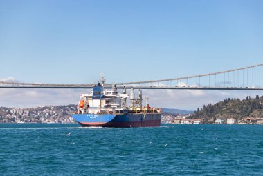 Boğaz Boğazı 'ndaki Toptan Taşıyıcı Paul Körfezi' nin bir resmi.