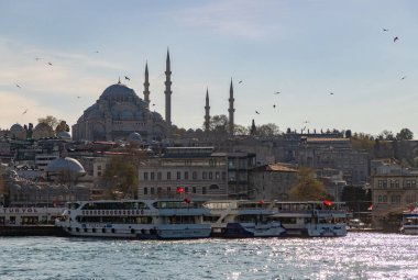 İstanbul 'daki Süleyman Camii' nin bir resmi.
