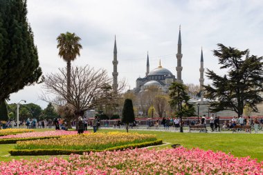 Mavi Cami ve Sultan Ahmet Parkı 'nın bir resmi..