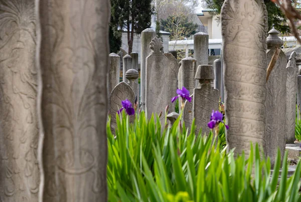 Imagen Las Lápidas Del Cementerio Mezquita Suleymaniye —  Fotos de Stock