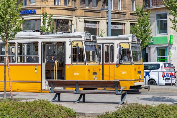 Ein Bild Zweier Straßenbahnen Budapest — Stockfoto
