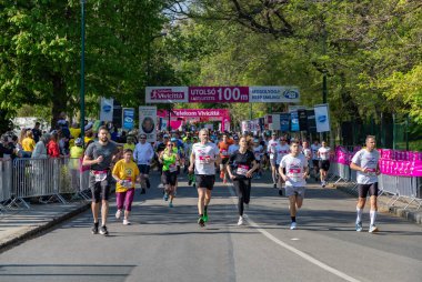 2023 Telekom Vivicitta Bahar Yarısı Maratonu 'nun Budapeşte' deki koşucularının resmi..