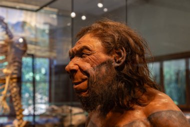 Oslo Doğal Tarih Müzesi 'ndeki Antik İnsan' ın yeniden yapılandırılmasının bir resmi..