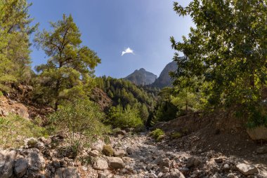 Klasik Samaria Gorge manzarasının bir resmi, yerde kayalar ve etrafındaki ağaçlar ve dağlarla.